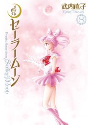 美少女戦士セーラームーン 完全版（8）
