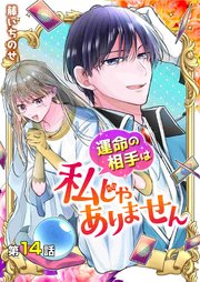 【分冊版】運命の相手は私じゃありません（14）