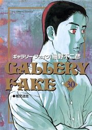 ギャラリーフェイク 30