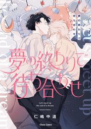 夢の終わりで待ち合わせ 表紙