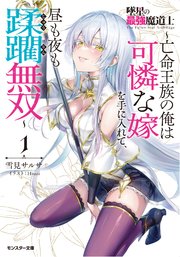 墜星の最強魔道士 ～亡命王族の俺は可憐な嫁を手に入れて、昼も夜も蹂躙無双～（ノベル）