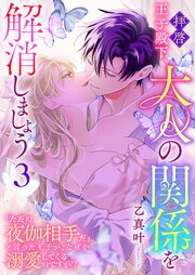 拝啓王子殿下、大人の関係を解消しましょう　～「ただの夜伽相手だ」と言った王子が、なぜか溺愛してくるのですが！？ ～（３）