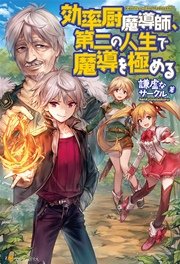 効率厨魔導師、第二の人生で魔導を極める