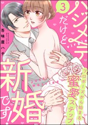 ハジメテだけど新婚です！ プロポーズから始まる蜜愛ステップ（分冊版） 【第3話】