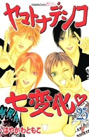 ヤマトナデシコ七変化 完全版（25）
