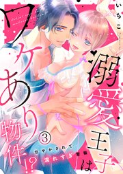 溺愛王子はワケあり物件！？～甘やかされて濡れすぎ警報～(3)