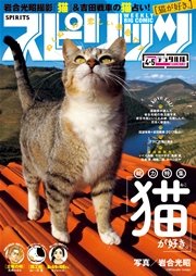 週刊ビッグコミックスピリッツ 2017年4･5合併号（2016年12月26日発売）