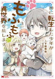 神に転生した少年がもふもふと異世界を旅します（コミック） 3巻