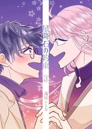 星降石の約束 （3）