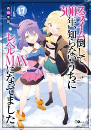 スライム倒して300年、知らないうちにレベルMAXになってました17