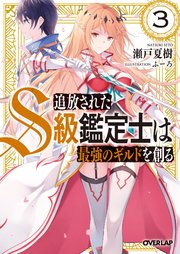 追放されたS級鑑定士は最強のギルドを創る 3
