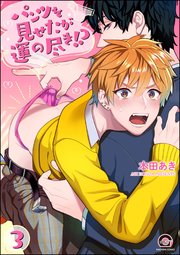 パンツを見せたが運の尽き!?（分冊版） 【第3話】