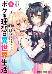 ボクの理想の異世界生活　転生したらケモ耳娘だらけの世界でハーレムに3
