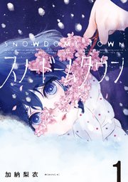スノードームタウン