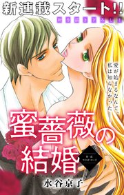 Love Silky 蜜薔薇の結婚
