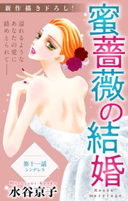Love Silky 蜜薔薇の結婚 story11