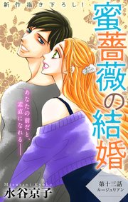 Love Silky 蜜薔薇の結婚 story13