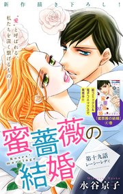 Love Silky 蜜薔薇の結婚 story19