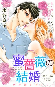 Love Silky 蜜薔薇の結婚 story20