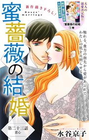 Love Silky 蜜薔薇の結婚 story23