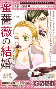 Love Silky 蜜薔薇の結婚 story34.5