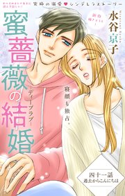 Love Silky 蜜薔薇の結婚 story41