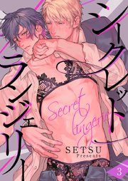 シークレット ランジェリー 3巻