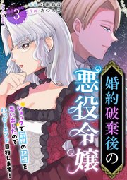 婚約破棄後の悪役令嬢～ショックで前世の記憶を思い出したのでハッピーエンド目指します！～ 単行本版（3）