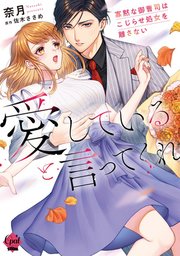 愛していると言ってくれ 寡黙な御曹司はこじらせ処女を離さない【単行本版】