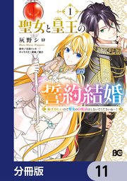 聖女と皇王の誓約結婚　恥ずかしいので聖女の自慢話はしないでくださいね…！【分冊版】　11