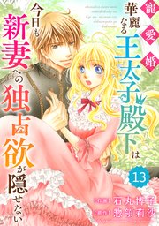 Berry’sFantasy 寵愛婚-華麗なる王太子殿下は今日も新妻への独占欲が隠せない13巻
