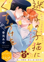 迷子の子猫にくちづけを　分冊版（３）