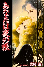 あなたは夜の帳(とばり)