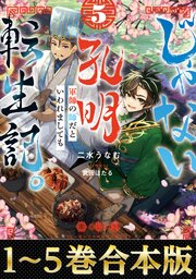 じゃない孔明転生記。軍師の師だといわれましても