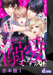 過保護の次は、溺愛ですか!?～御曹司の義兄弟たちに奪い合われてます～