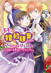 王子、婚約破棄したのはそちらなので、恐い顔でこっちにらまないでください。 分冊版（3）