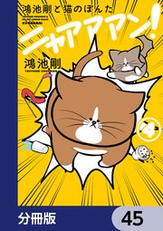 鴻池剛と猫のぽんた ニャアアアン！【分冊版】　45