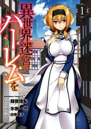 異世界迷宮でハーレムを 表紙