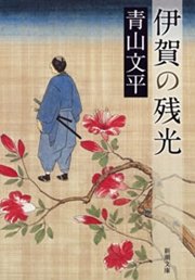 伊賀の残光