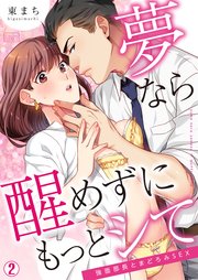 夢なら醒めずにもっとシて～強面部長とまどろみSEX 2巻
