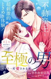 至極の男～もう一度愛される夜［comic tint］ 分冊版