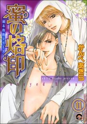 凍る灼熱（分冊版） 【第11話】