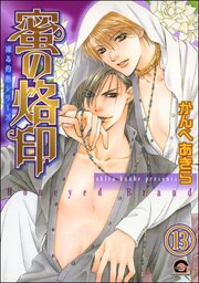 凍る灼熱（分冊版） 【第13話】