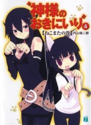 神様のおきにいり　４　ねこまたの巻