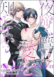 夜啼く鷹は愛を知らない（分冊版） #4