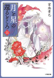 紫微国