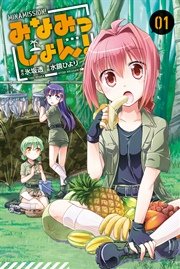 みなみっしょん！