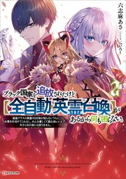 ブラック国家を追放されたけど【全自動・英霊召喚】があるから何も困らない。２　最強クラスの英霊１０００体が知らないうちに仕事を片付けてくれるし、みんな優しくて居心地いいんで、今さら元の国には戻りません。