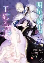 明星の騎士は今宵王妃を抱く（3）
