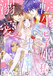 転生してビッチ姫になった私は、4人の聖騎士に溺愛されています 2巻